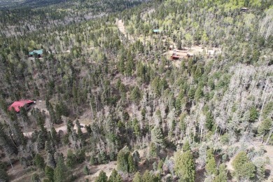 Enjoy all the wildlife and tranquility from this beautiful on Angel Fire Resort Country Club in New Mexico - for sale on GolfHomes.com, golf home, golf lot