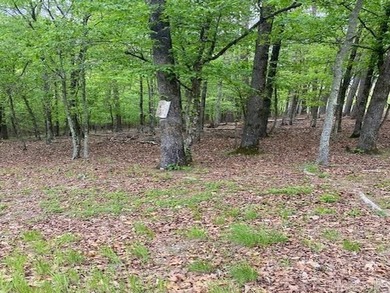 Prestigious Golf Course Homesite in Hot Springs Village- An on Diamante Golf and Country Club in Arkansas - for sale on GolfHomes.com, golf home, golf lot