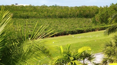 Exquisite finishes & attention to detail in the overall design on Key West Golf Club in Florida - for sale on GolfHomes.com, golf home, golf lot