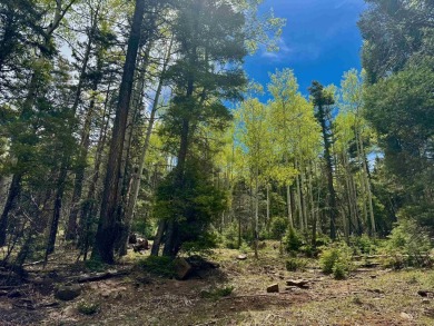 Flagged corners!  This is a beautiful lot in a super location on Angel Fire Resort Country Club in New Mexico - for sale on GolfHomes.com, golf home, golf lot