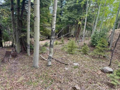 Flagged corners!  This is a beautiful lot in a super location on Angel Fire Resort Country Club in New Mexico - for sale on GolfHomes.com, golf home, golf lot