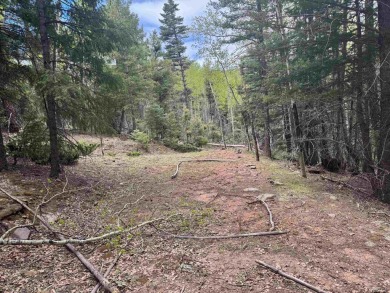 Flagged corners!  This is a beautiful lot in a super location on Angel Fire Resort Country Club in New Mexico - for sale on GolfHomes.com, golf home, golf lot
