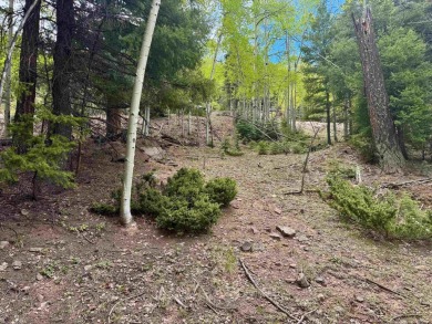 Flagged corners!  This is a beautiful lot in a super location on Angel Fire Resort Country Club in New Mexico - for sale on GolfHomes.com, golf home, golf lot
