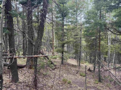 Flagged corners!  This is a beautiful lot in a super location on Angel Fire Resort Country Club in New Mexico - for sale on GolfHomes.com, golf home, golf lot