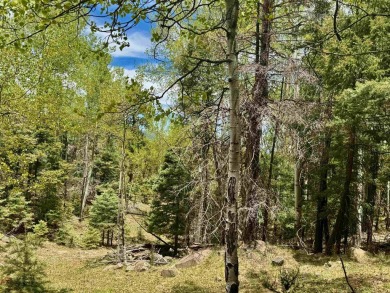 Flagged corners!  This is a beautiful lot in a super location on Angel Fire Resort Country Club in New Mexico - for sale on GolfHomes.com, golf home, golf lot