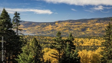The Ranch at Angel Fire is a rare legacy opportunity to own the on Angel Fire Resort Country Club in New Mexico - for sale on GolfHomes.com, golf home, golf lot