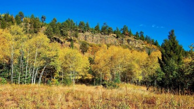 The Ranch at Angel Fire is a rare legacy opportunity to own the on Angel Fire Resort Country Club in New Mexico - for sale on GolfHomes.com, golf home, golf lot
