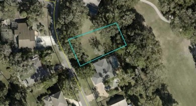 One of a kind Golf course lot in fully developed area. Water and on Palm Harbor Golf Club in Florida - for sale on GolfHomes.com, golf home, golf lot