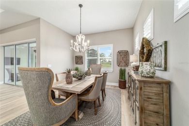 Golf Course Views and Luxury Await!  Experience resort-style on Stone Creek Golf Club in Florida - for sale on GolfHomes.com, golf home, golf lot