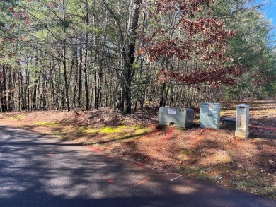 GENTLE LEVEL LOT IN GATED GOLF COURSE COMMUNITY IN THE MOUNTAINS on Chatuge Shores Golf Course in North Carolina - for sale on GolfHomes.com, golf home, golf lot