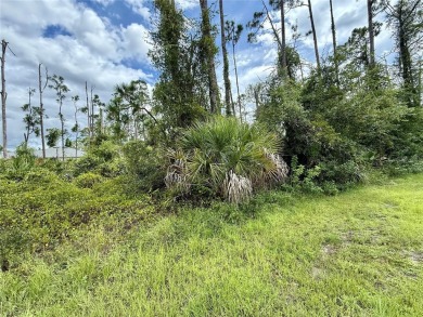 Looking for that perfect piece of land to build your slice of on Bobcat Trail Golf Club in Florida - for sale on GolfHomes.com, golf home, golf lot