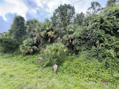 Looking for that perfect piece of land to build your slice of on Bobcat Trail Golf Club in Florida - for sale on GolfHomes.com, golf home, golf lot