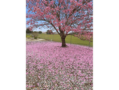 This Polo Park beauty features numerous recent updates on Polo Park Golf Course in Florida - for sale on GolfHomes.com, golf home, golf lot