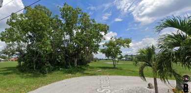 WELCOME TO BEAUTIFUL BURNT STORE LAKES on FLORIDA'S GULF COAST: on Burnt Store Golf Club in Florida - for sale on GolfHomes.com, golf home, golf lot