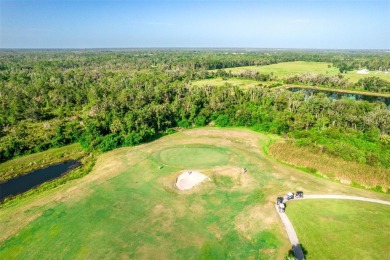BEAUTIFUL POND VIEW!!! Welcome to  your private oasis nestled in on Scepter Golf Club in Florida - for sale on GolfHomes.com, golf home, golf lot