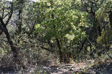This lot offers a natural backdrop, as the land located directly on The Retreat in Texas - for sale on GolfHomes.com, golf home, golf lot