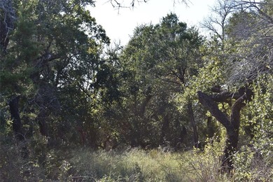 This lot offers a natural backdrop, as the land located directly on The Retreat in Texas - for sale on GolfHomes.com, golf home, golf lot