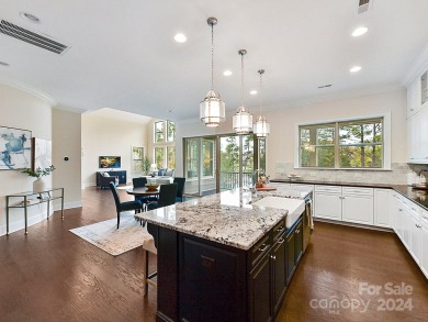 Expansive 6-bed home w finished walk-out basement, perfectly on The Palisades Country Club in North Carolina - for sale on GolfHomes.com, golf home, golf lot