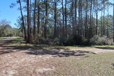 Prime Wooded Corner Lot Near the Bay! This beautifully wooded on St. James Bay in Florida - for sale on GolfHomes.com, golf home, golf lot