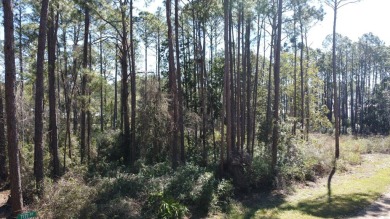 Prime Wooded Corner Lot Near the Bay! This beautifully wooded on St. James Bay in Florida - for sale on GolfHomes.com, golf home, golf lot