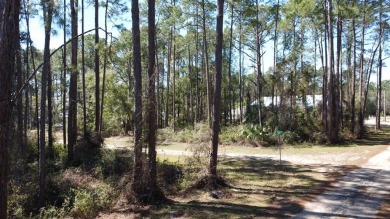 Prime Wooded Corner Lot Near the Bay! This beautifully wooded on St. James Bay in Florida - for sale on GolfHomes.com, golf home, golf lot
