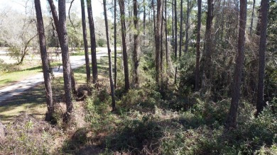 Prime Wooded Corner Lot Near the Bay! This beautifully wooded on St. James Bay in Florida - for sale on GolfHomes.com, golf home, golf lot