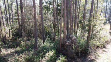 Prime Wooded Corner Lot Near the Bay! This beautifully wooded on St. James Bay in Florida - for sale on GolfHomes.com, golf home, golf lot