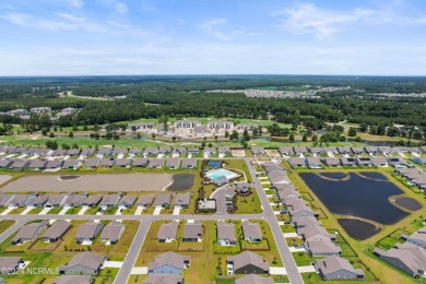 Welcome to your dream home in the sought-after Eagle Run on Crow Creek Golf Club in North Carolina - for sale on GolfHomes.com, golf home, golf lot