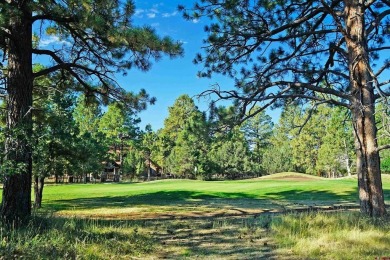 Judy L Darwick, United Country Sneffels Realty, Cell: on The Divide Ranch and Club in Colorado - for sale on GolfHomes.com, golf home, golf lot