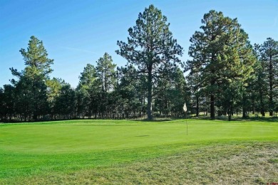 Judy L Darwick, United Country Sneffels Realty, Cell: on The Divide Ranch and Club in Colorado - for sale on GolfHomes.com, golf home, golf lot