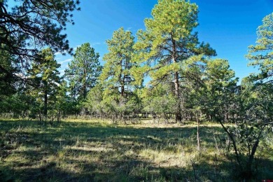 Judy L Darwick, United Country Sneffels Realty, Cell: on The Divide Ranch and Club in Colorado - for sale on GolfHomes.com, golf home, golf lot