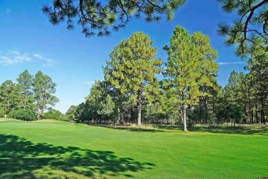 Judy L Darwick, United Country Sneffels Realty, Cell: on The Divide Ranch and Club in Colorado - for sale on GolfHomes.com, golf home, golf lot