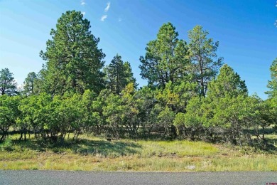 Judy L Darwick, United Country Sneffels Realty, Cell: on The Divide Ranch and Club in Colorado - for sale on GolfHomes.com, golf home, golf lot