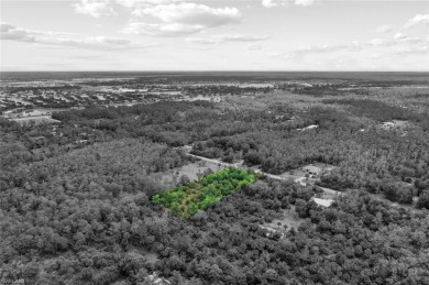 Incredible opportunity to own 2.73 acres of southern-facing land on The Club At Twin Eagles in Florida - for sale on GolfHomes.com, golf home, golf lot