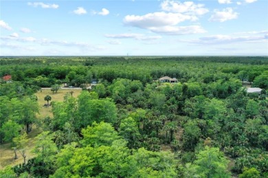 Incredible opportunity to own 2.73 acres of southern-facing land on The Club At Twin Eagles in Florida - for sale on GolfHomes.com, golf home, golf lot