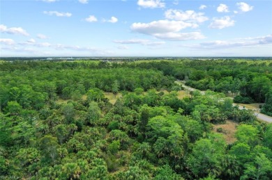Incredible opportunity to own 2.73 acres of southern-facing land on The Club At Twin Eagles in Florida - for sale on GolfHomes.com, golf home, golf lot
