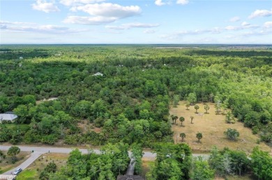 Incredible opportunity to own 2.73 acres of southern-facing land on The Club At Twin Eagles in Florida - for sale on GolfHomes.com, golf home, golf lot