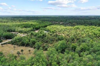 Incredible opportunity to own 2.73 acres of southern-facing land on The Club At Twin Eagles in Florida - for sale on GolfHomes.com, golf home, golf lot