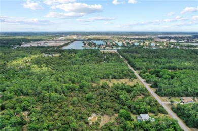 Incredible opportunity to own 2.73 acres of southern-facing land on The Club At Twin Eagles in Florida - for sale on GolfHomes.com, golf home, golf lot