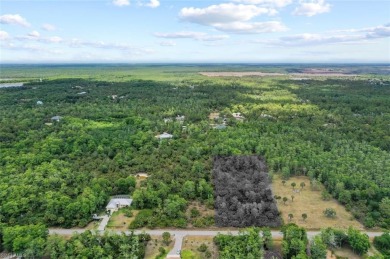 Incredible opportunity to own 2.73 acres of southern-facing land on The Club At Twin Eagles in Florida - for sale on GolfHomes.com, golf home, golf lot