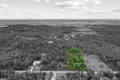 Incredible opportunity to own 2.73 acres of southern-facing land on The Club At Twin Eagles in Florida - for sale on GolfHomes.com, golf home, golf lot