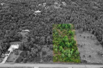 Incredible opportunity to own 2.73 acres of southern-facing land on The Club At Twin Eagles in Florida - for sale on GolfHomes.com, golf home, golf lot