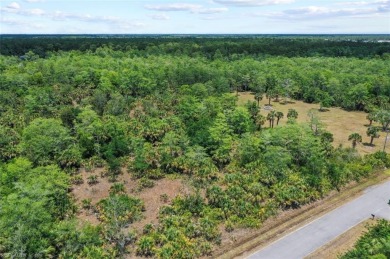 Incredible opportunity to own 2.73 acres of southern-facing land on The Club At Twin Eagles in Florida - for sale on GolfHomes.com, golf home, golf lot