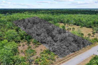 Incredible opportunity to own 2.73 acres of southern-facing land on The Club At Twin Eagles in Florida - for sale on GolfHomes.com, golf home, golf lot