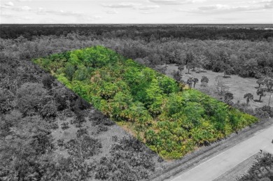 Incredible opportunity to own 2.73 acres of southern-facing land on The Club At Twin Eagles in Florida - for sale on GolfHomes.com, golf home, golf lot