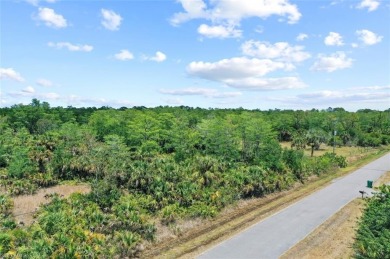 Incredible opportunity to own 2.73 acres of southern-facing land on The Club At Twin Eagles in Florida - for sale on GolfHomes.com, golf home, golf lot