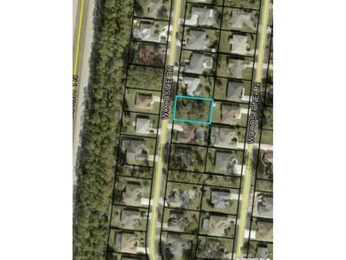 This beautiful lot is waiting on your to build your dream home on The Grand Club - Pine Lakes Course in Florida - for sale on GolfHomes.com, golf home, golf lot