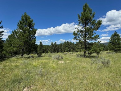 VIEWS!!! This easy-to-build-on lot has everything, because few on Angel Fire Resort Country Club in New Mexico - for sale on GolfHomes.com, golf home, golf lot