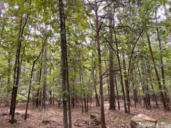 Residential lot in growing area of Fairfield Bay. This is your on Mountain Ranch Golf Club in Arkansas - for sale on GolfHomes.com, golf home, golf lot