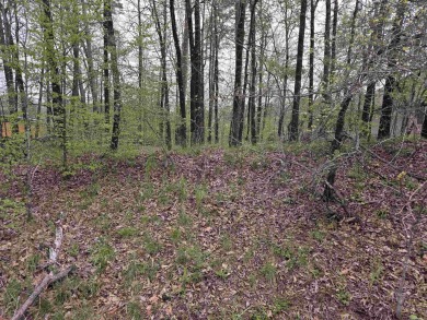 3 very affordable lots with 1 POA dues overlooking 9th fairway on Diamondhead Golf and Country Club in Arkansas - for sale on GolfHomes.com, golf home, golf lot